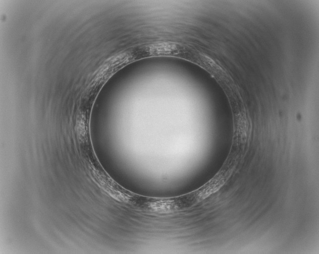 X0000056360761200508261337