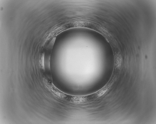 X0000056360766200508261337