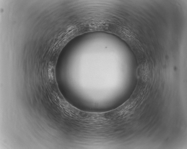 X0000056360770200508261336