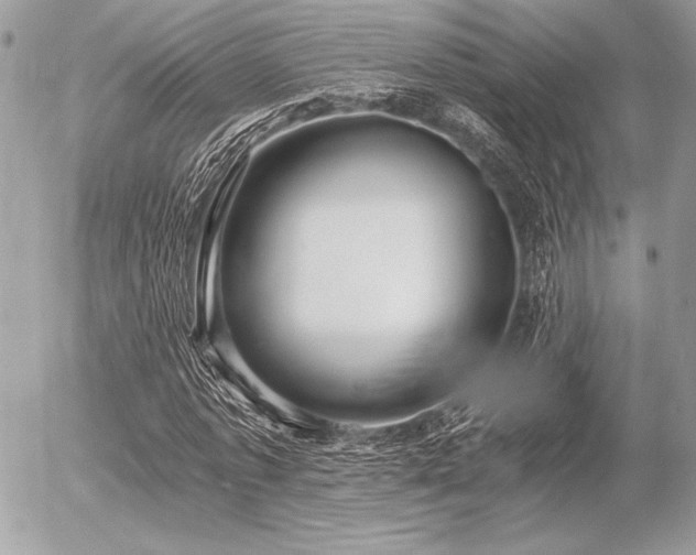 X0000056360773200508261336