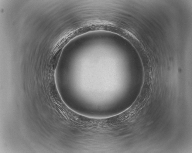 X0000056360775200508261336