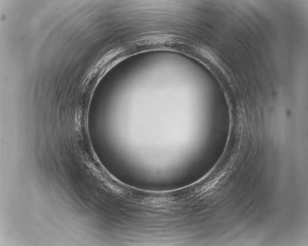 X0000056360778200508261336