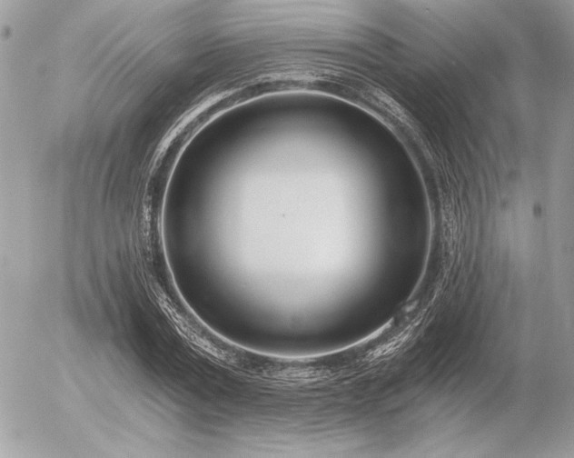 X0000056360779200508261336