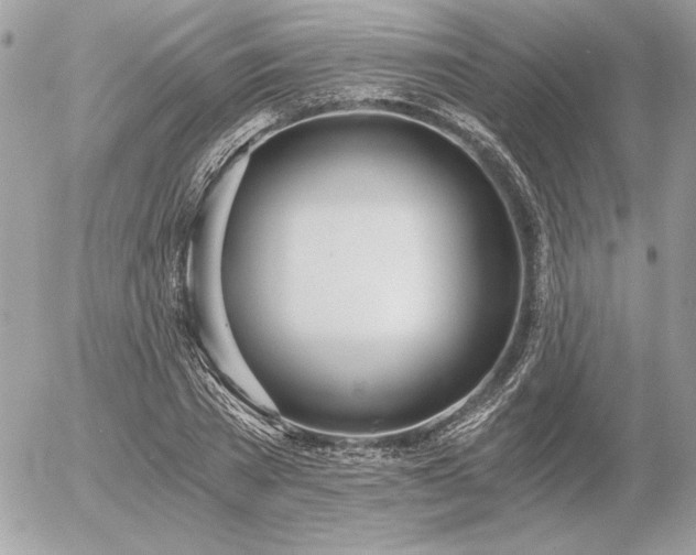 X0000056360785200508261336