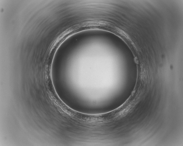 X0000056360786200508261336