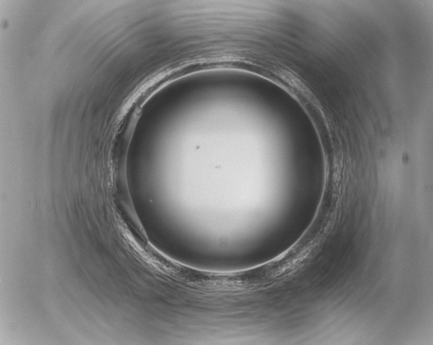 X0000056360789200508261336