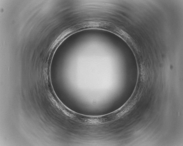 X0000056360794200508261336