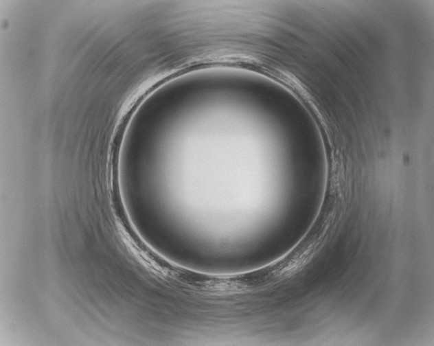X0000056360795200508261336