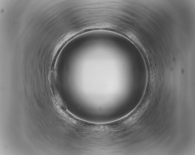 X0000056360797200508261336