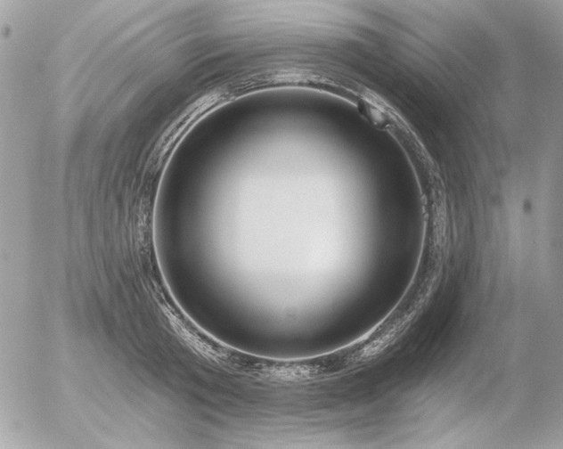 X0000056360801200508261336