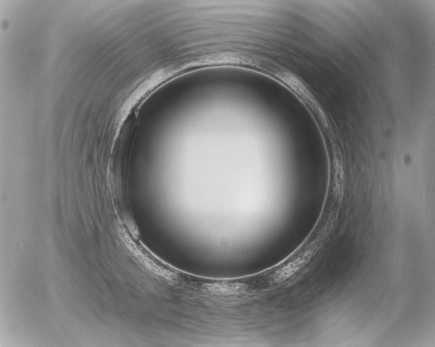 X0000056360805200508261336