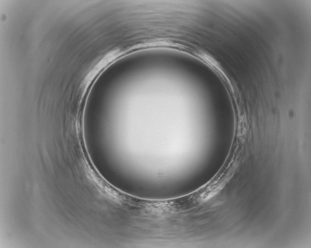 X0000056360813200508261336