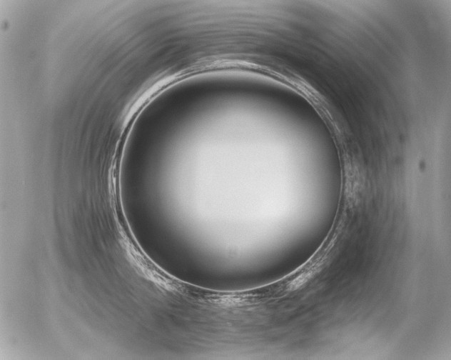 X0000056360814200508261336