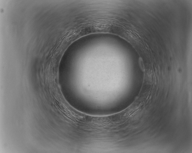 X0000056360817200508261335