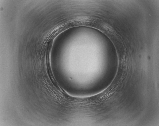 X0000056360822200508261335