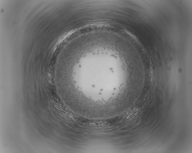 X0000056360823200508261335