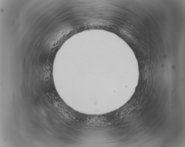 X0000056360824200508261335