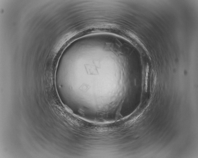 X0000056360829200508261335