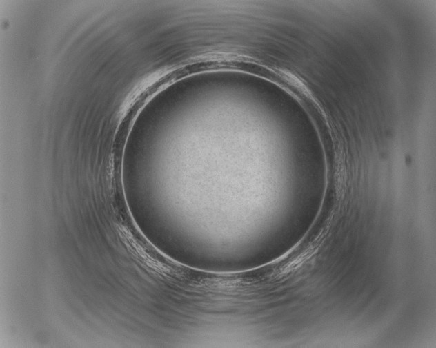 X0000056360831200508261335