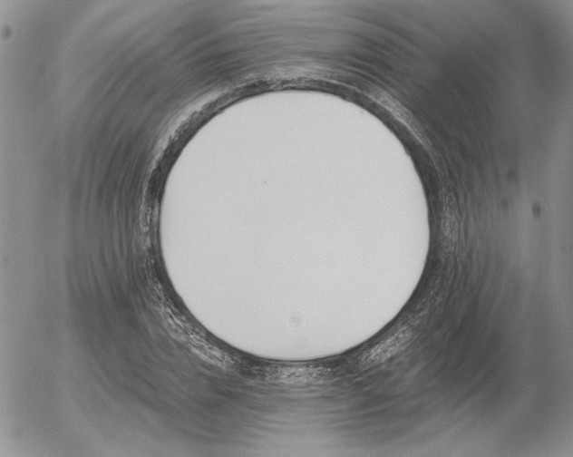 X0000056360832200508261335