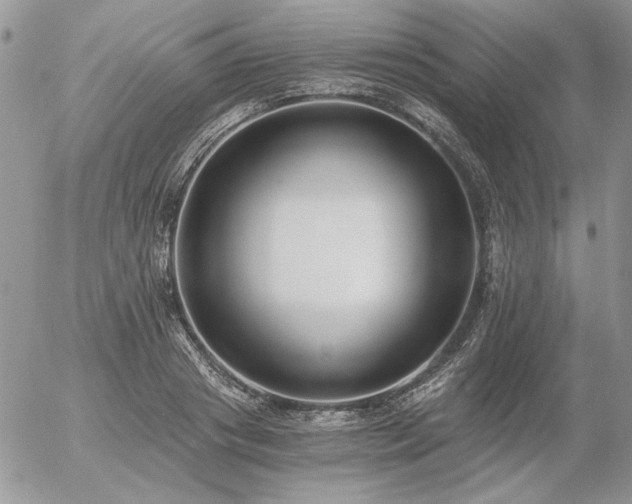 X0000056360841200508261335