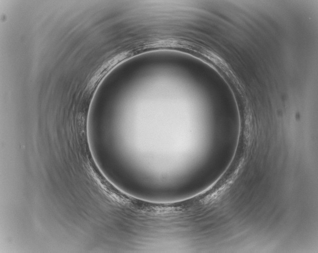 X0000056360849200508261335