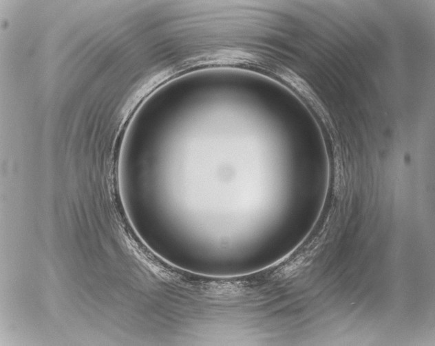 X0000056360850200508261335