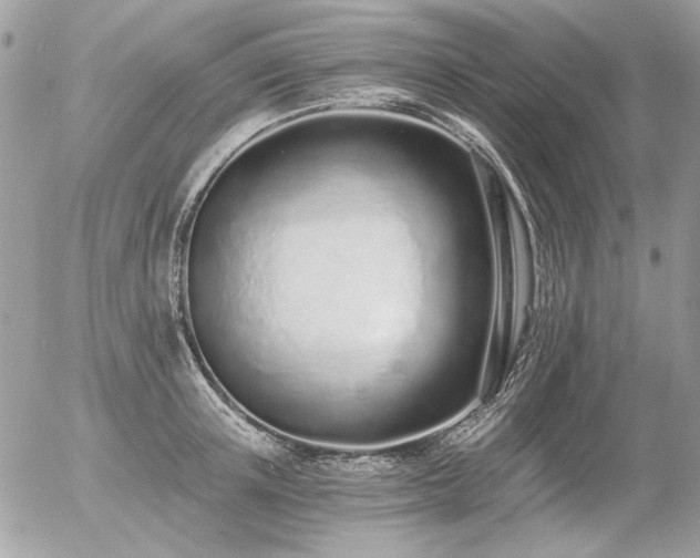 X0000056360851200508261335