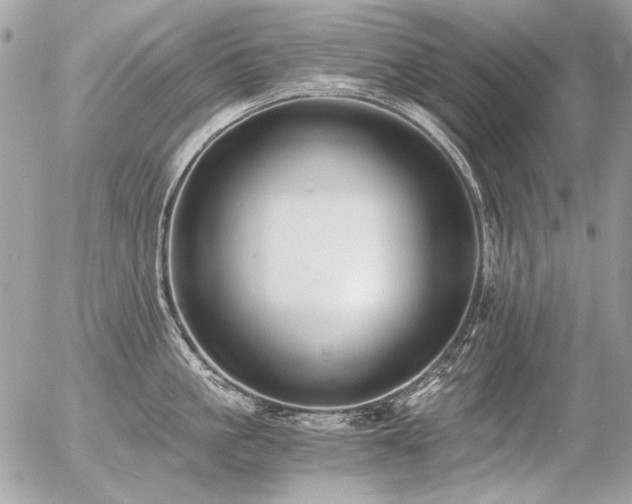 X0000056360861200508261335