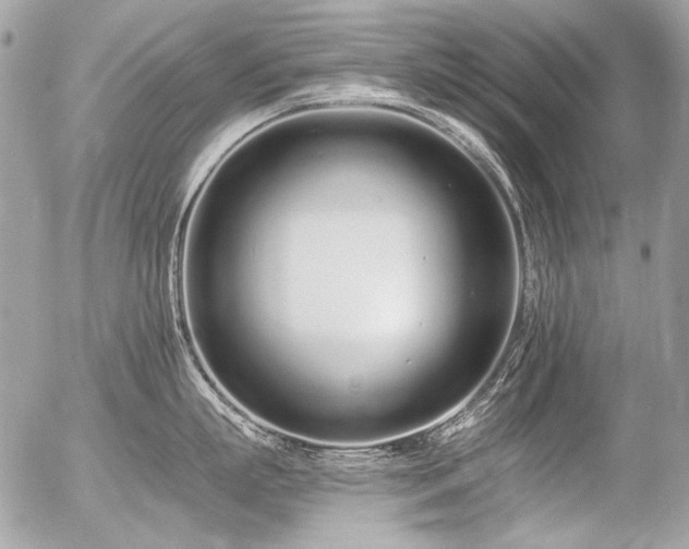 X0000056360863200508261335