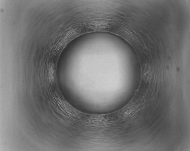 X0000056360866200508261335