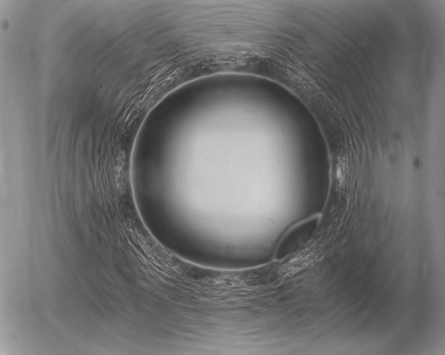 X0000056360867200508261335
