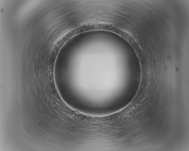 X0000056360871200508261335
