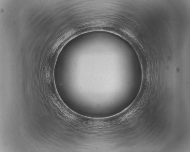 X0000056360873200508261335
