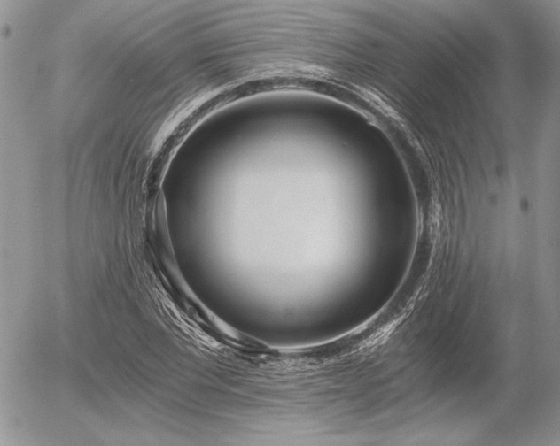 X0000056360877200508261334