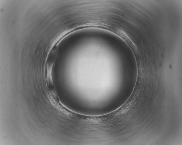 X0000056360900200508261334