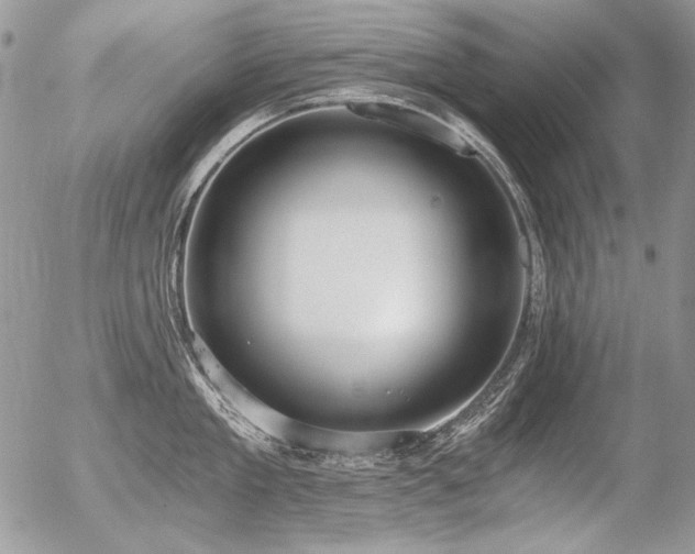 X0000056360909200508261334