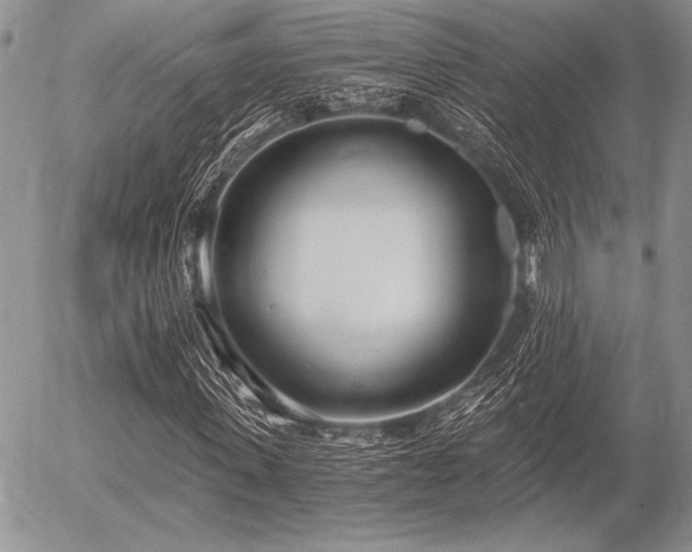 X0000056360915200508261333