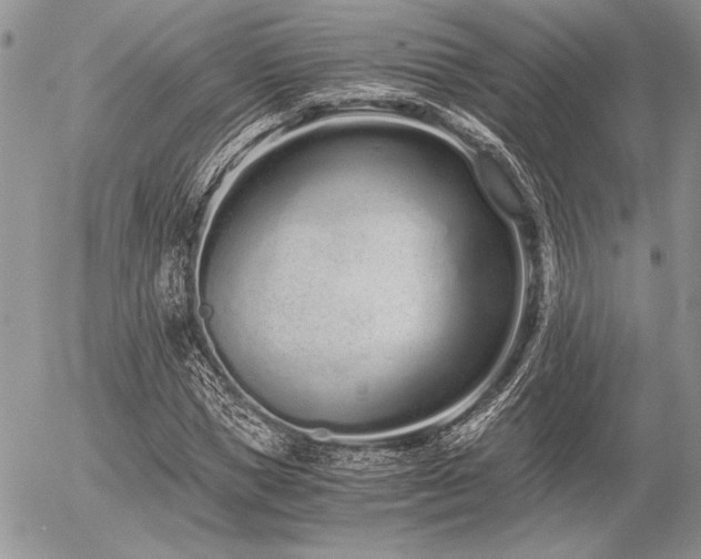 X0000056360921200508261333