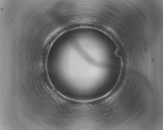 X0000056360922200508261333