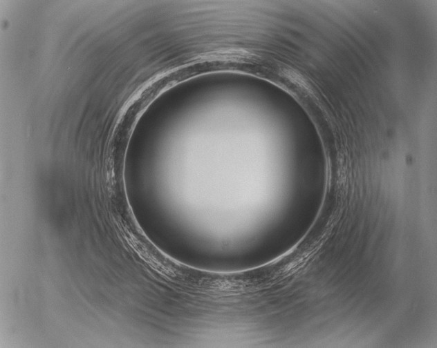 X0000056360923200508261333