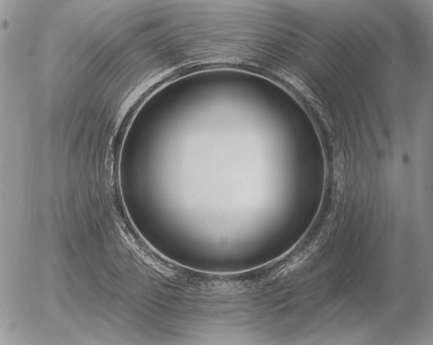 X0000056360933200508261333
