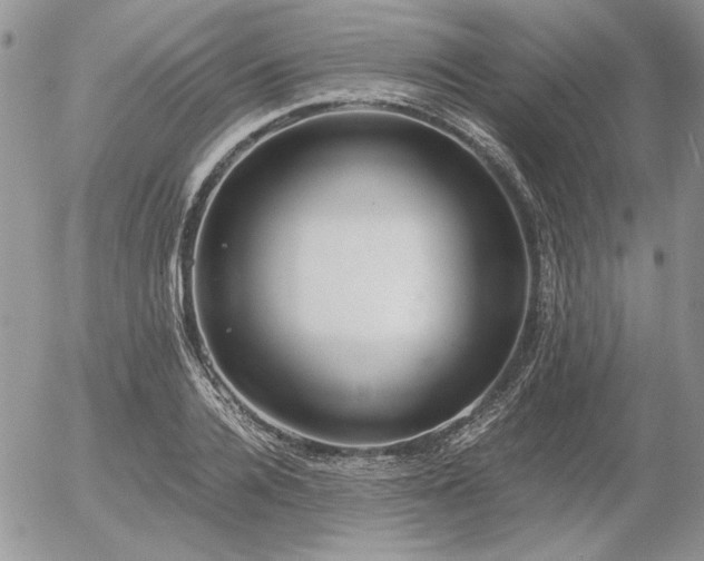 X0000056360936200508261333