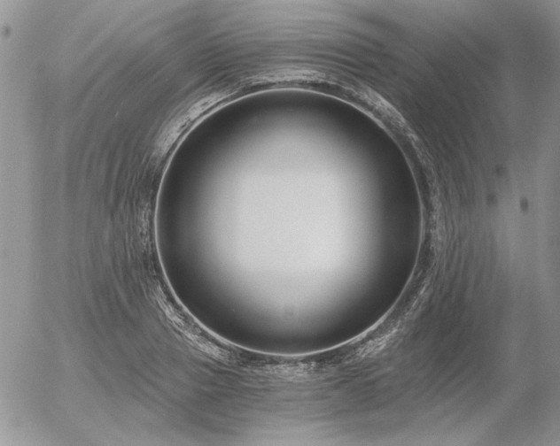 X0000056360937200508261333