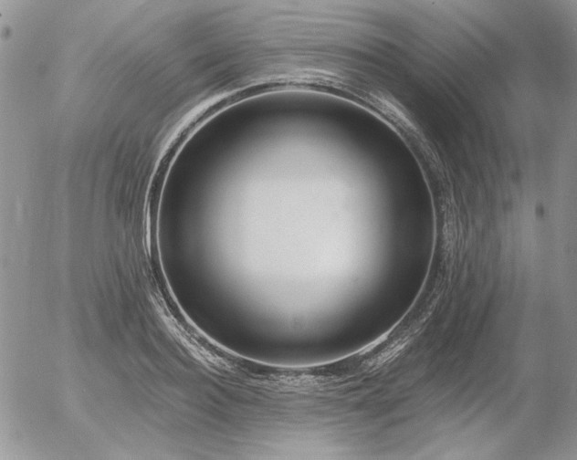 X0000056360940200508261334