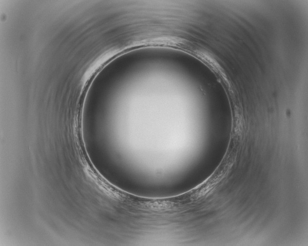 X0000056360952200508261334
