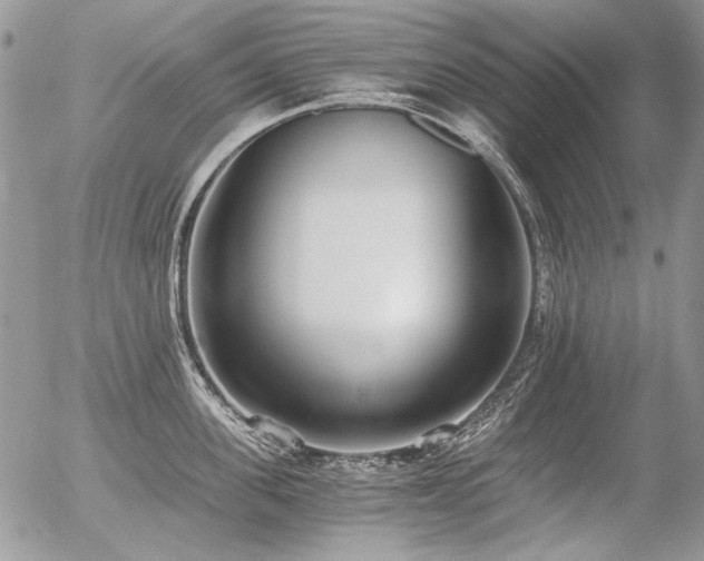 X0000056360955200508261334