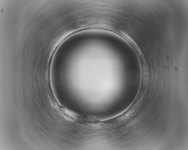 X0000056360956200508261334