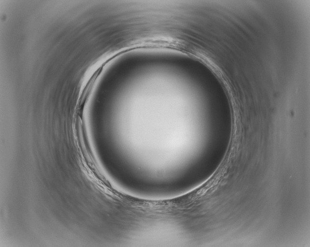 X0000056360960200508261334