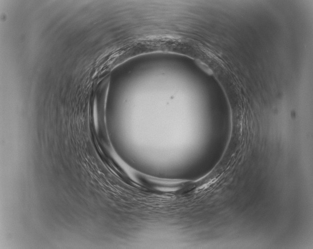 X0000056360965200508261333